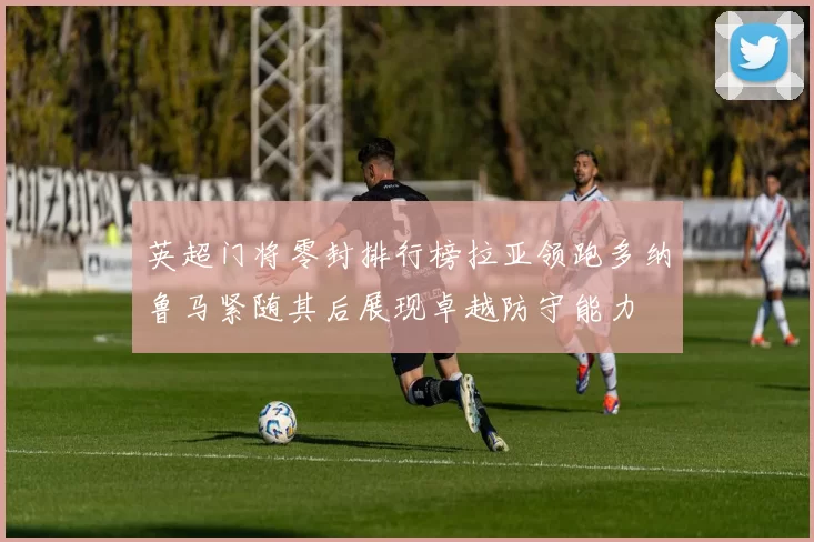 英超门将零封排行榜拉亚领跑多纳鲁马紧随其后展现卓越防守能力